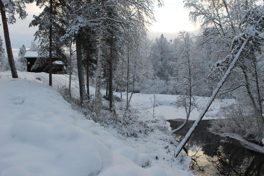 Ivalo River Camping photo 1