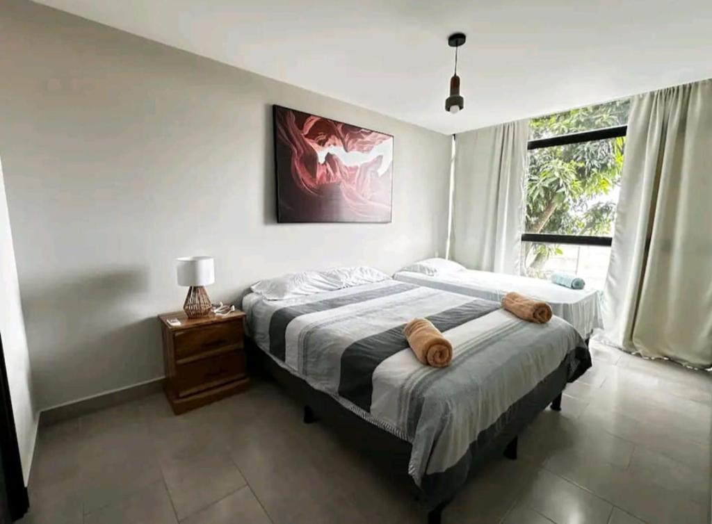 Apt cómodo, céntrico, nuevo y lindo! photo 3