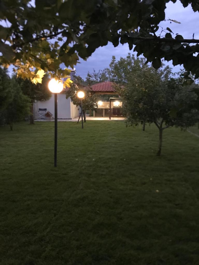 Adorable 1 bedroom Vacation house near Sea. photo 3