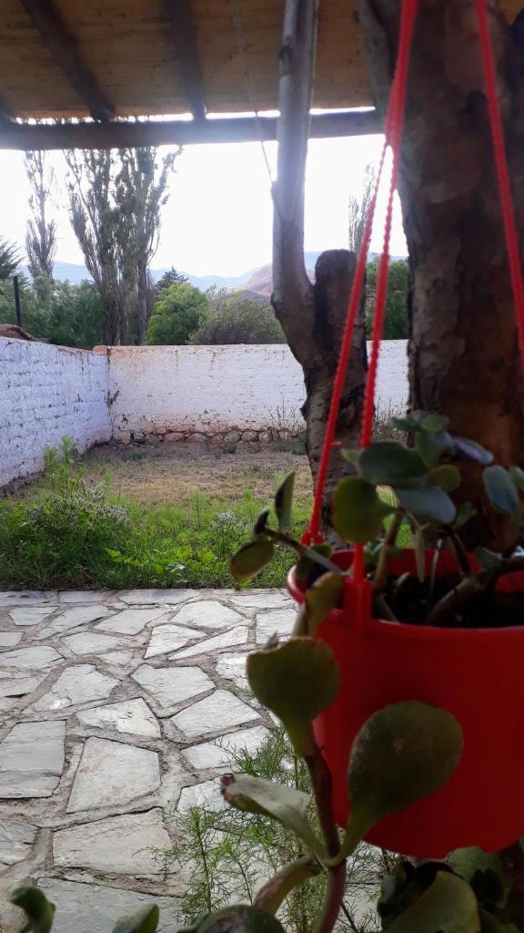 La Casita de la Abuela Huacalera photo 1