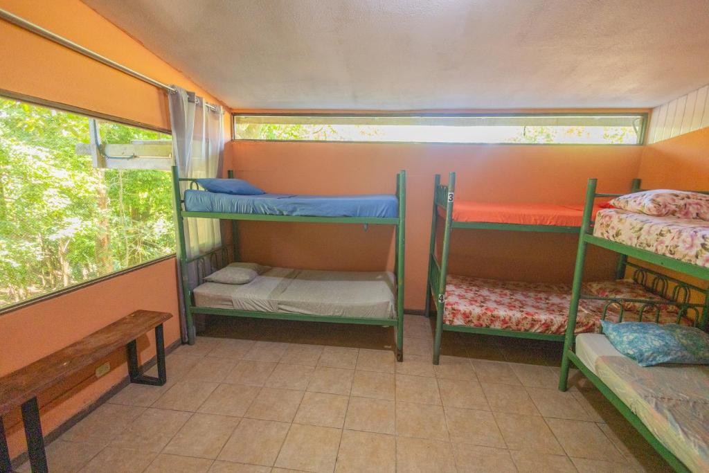 New Hostel Manuel Antonio, Meet new people photo 2