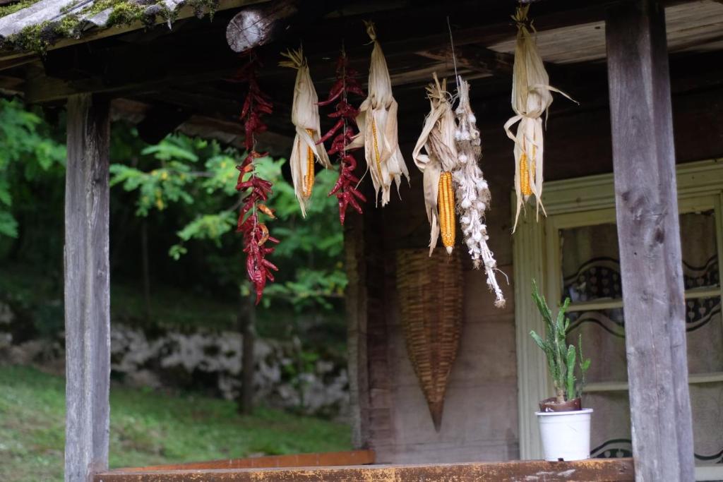 Parna's tradiontal home photo 1