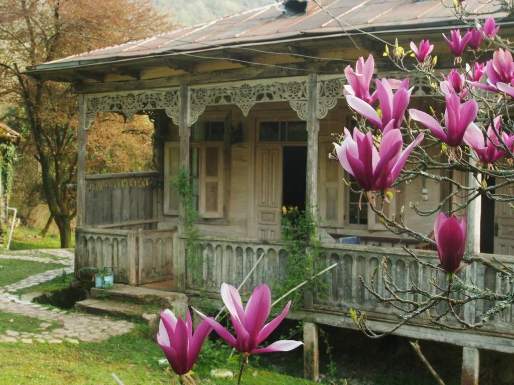 Parna's tradiontal home photo 2