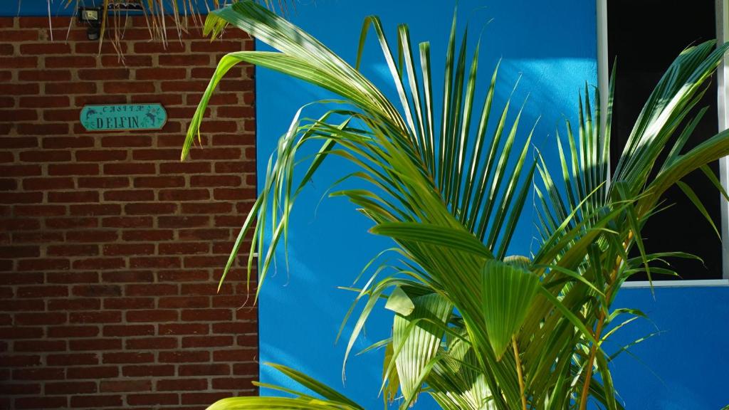 OCEAN OASIS HOTEL - adult only, four casitas boutique resort photo 2