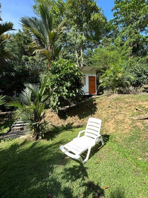 Vimanas Surf Shack photo 2