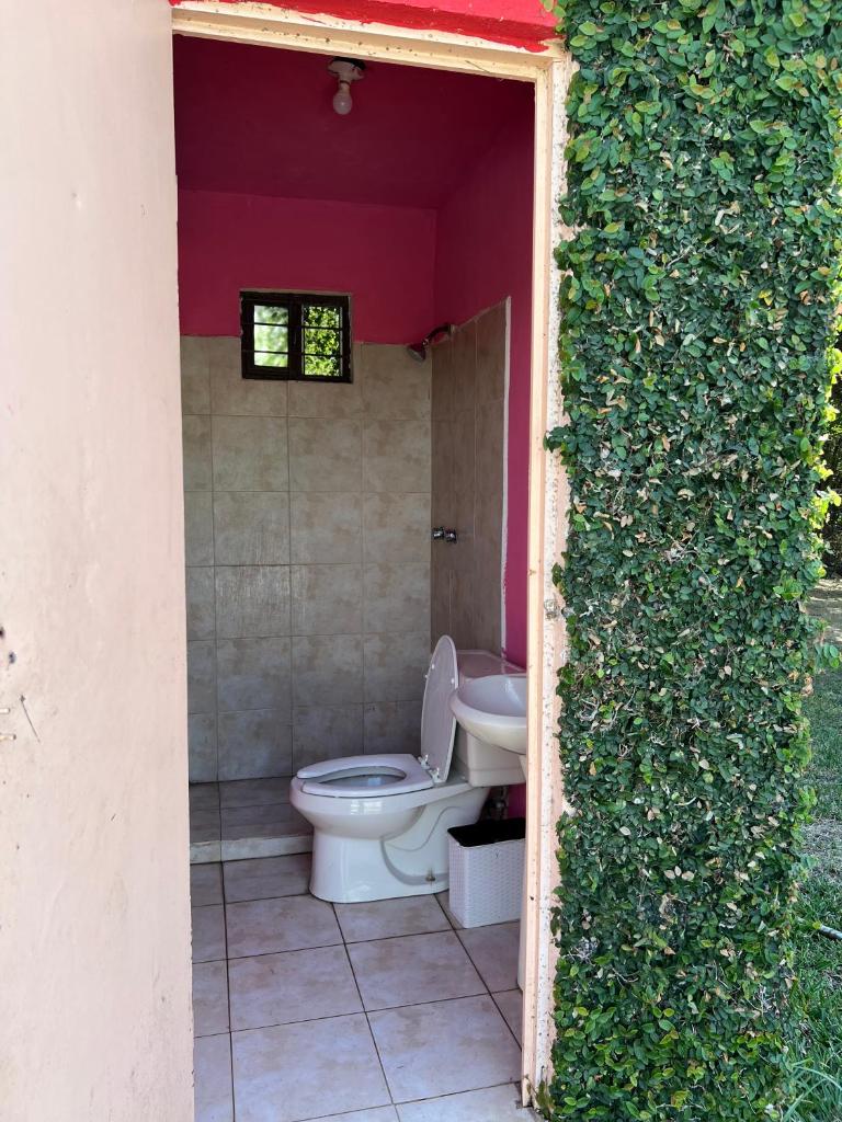 Quinta don juanito photo 4