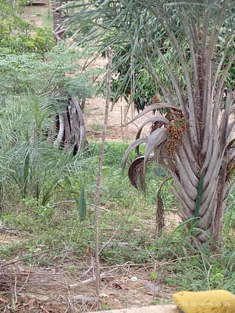 Rancho de montanha photo 4