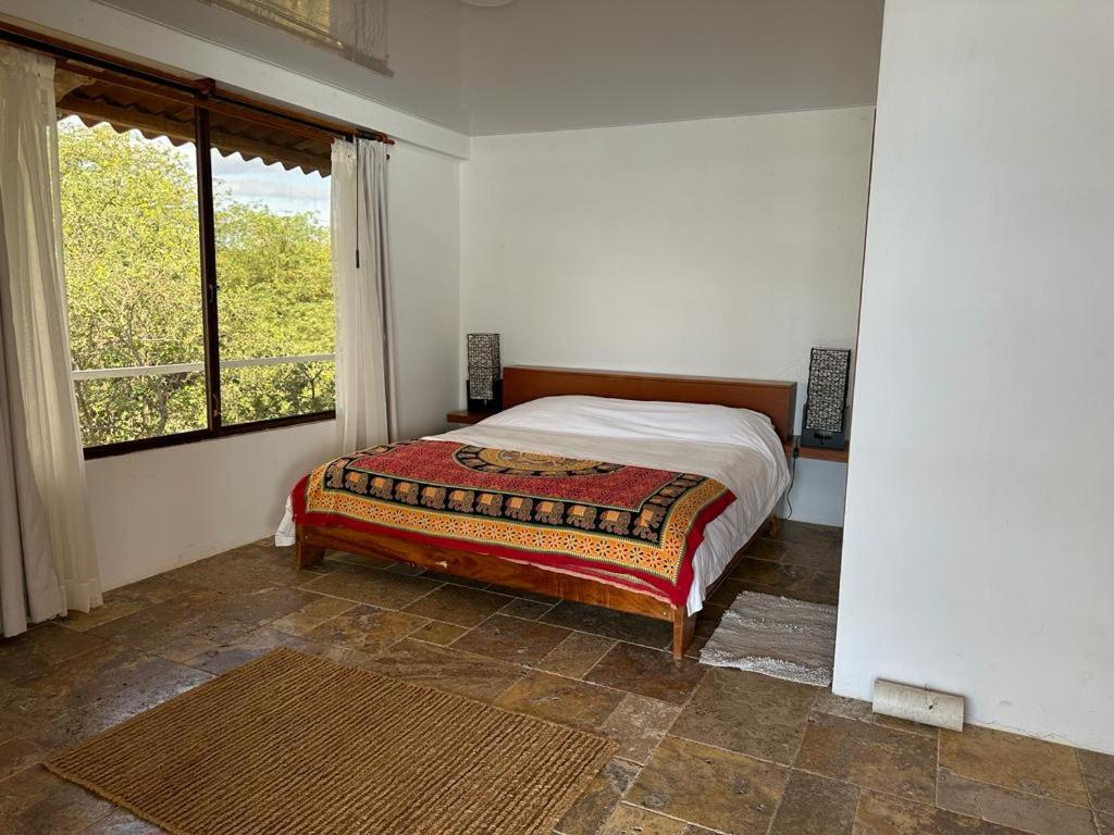 VILLA FLOREANA photo 3