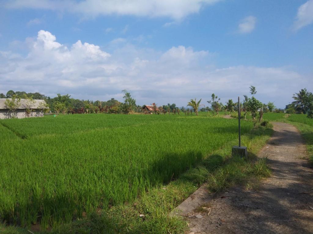 Trinadhi Homestay photo 3