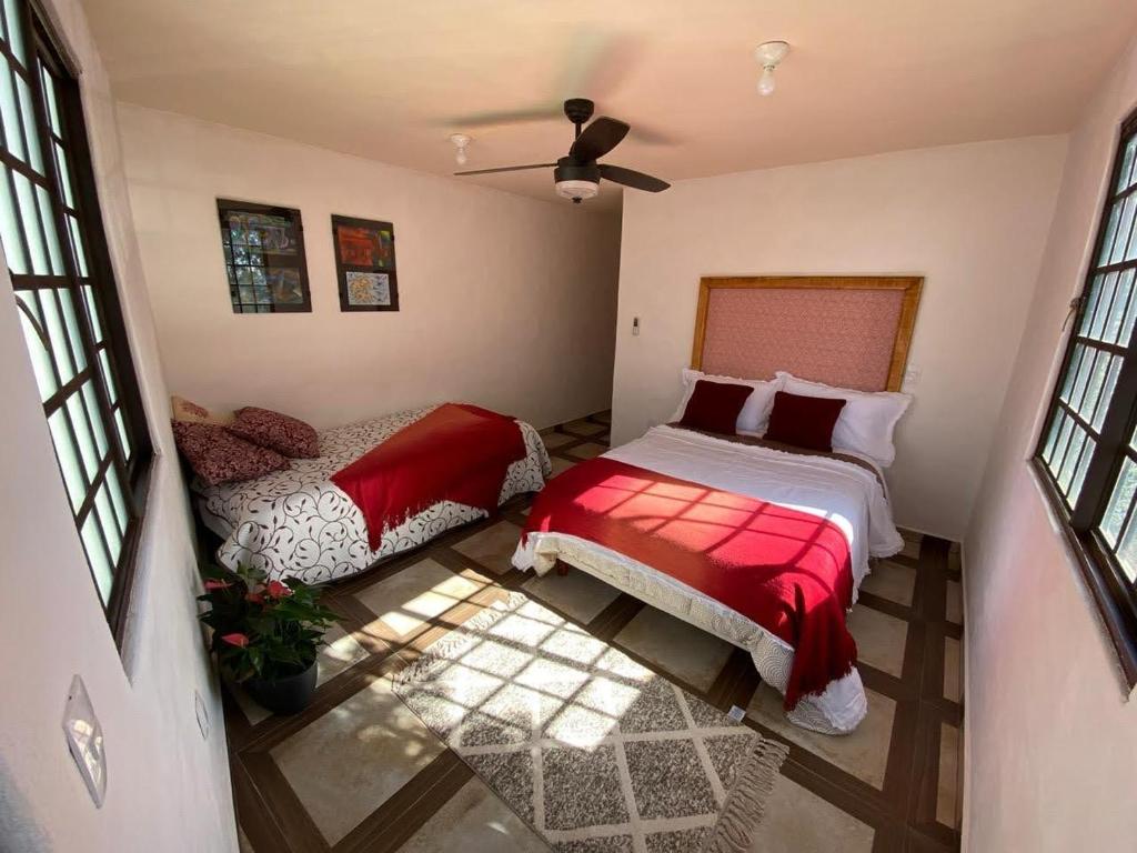 Casa Don Pancho photo 3