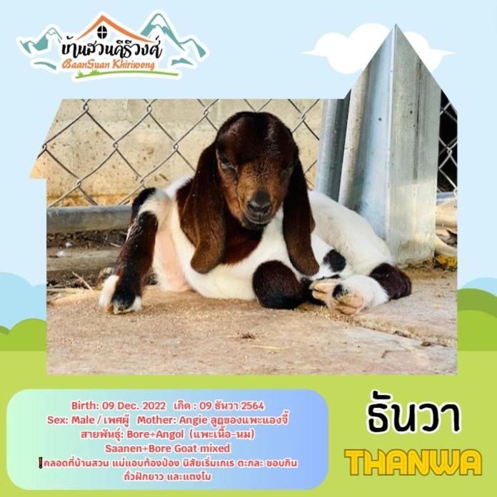 Baan Suan Khiriwong photo 4