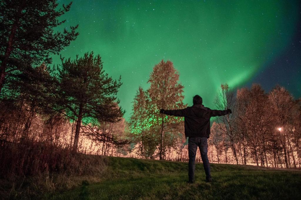 Ivalo River Camping photo 3