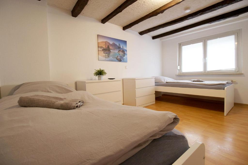 Beautiful Apartments in Zülpich photo 3