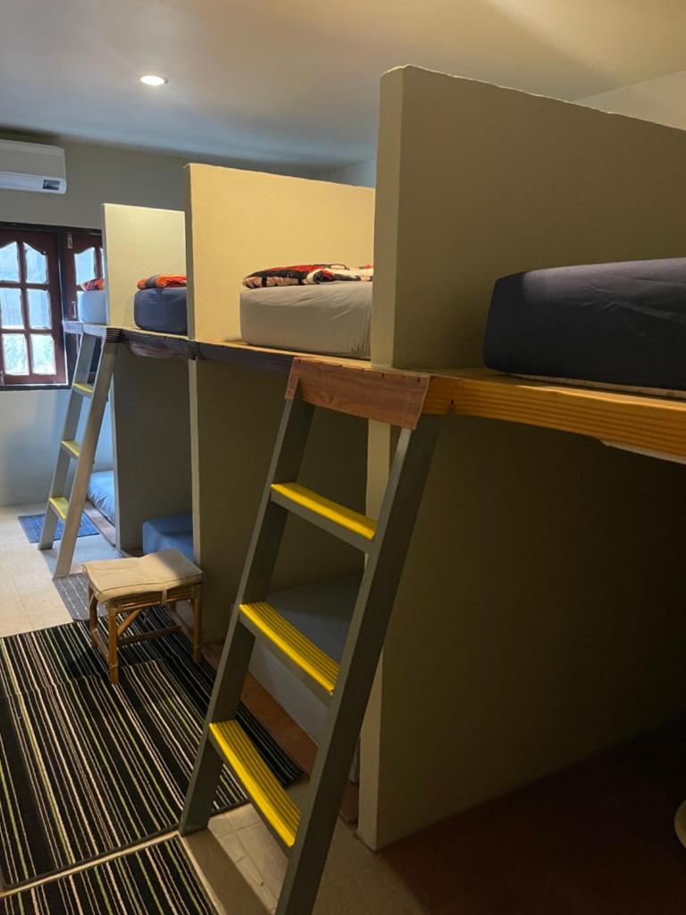 Premium Party Hostel photo 2