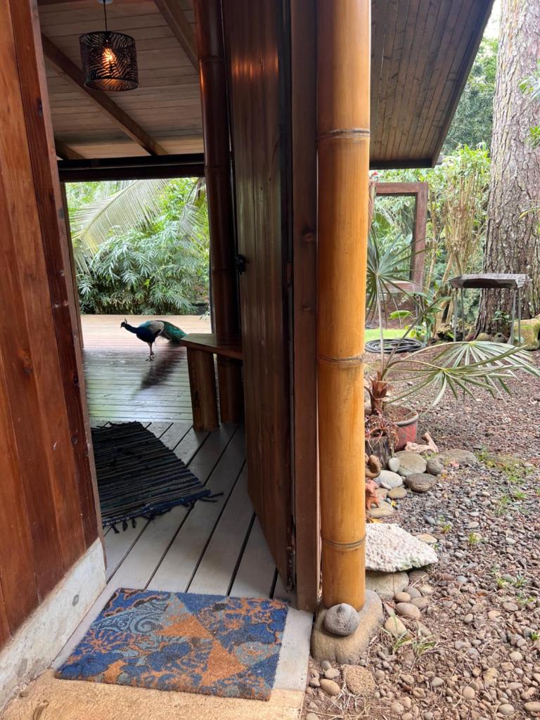 My Mountain Home photo 3