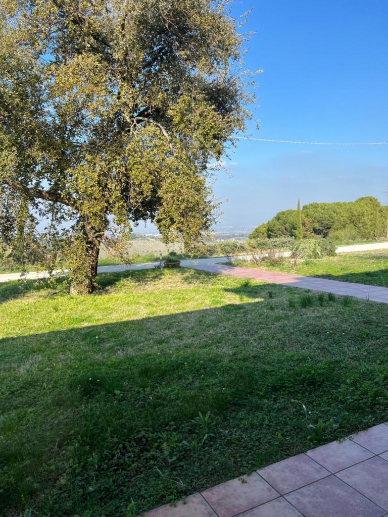 Podere Baratta agriturismo e cantina photo 3