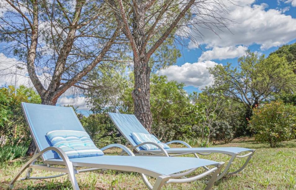 Villa impressionniste * Jardin* Clim * Piscine * photo 3