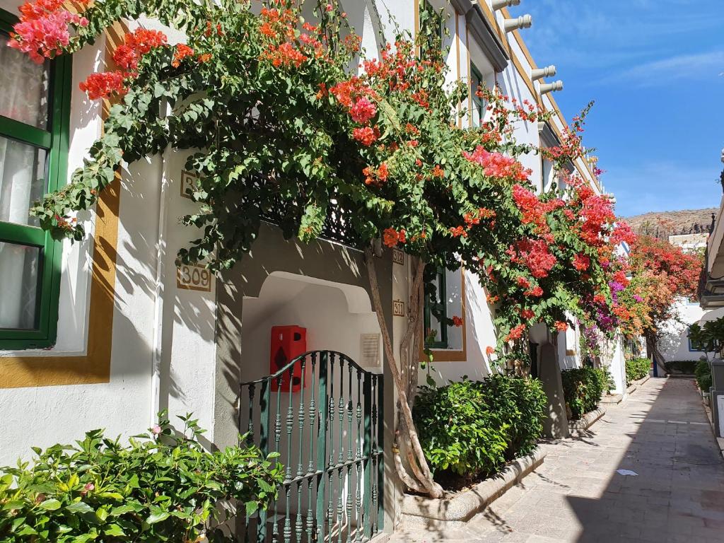 Billy's Puerto de Mogán Apartments by LIVVO photo 4