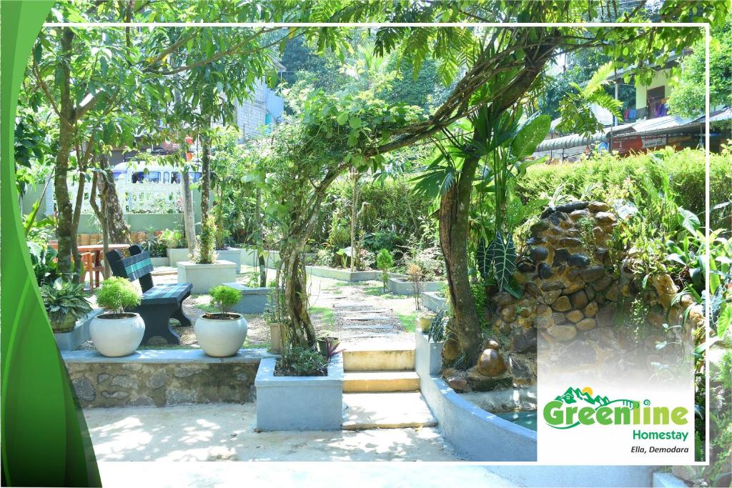 Greenline Homestay