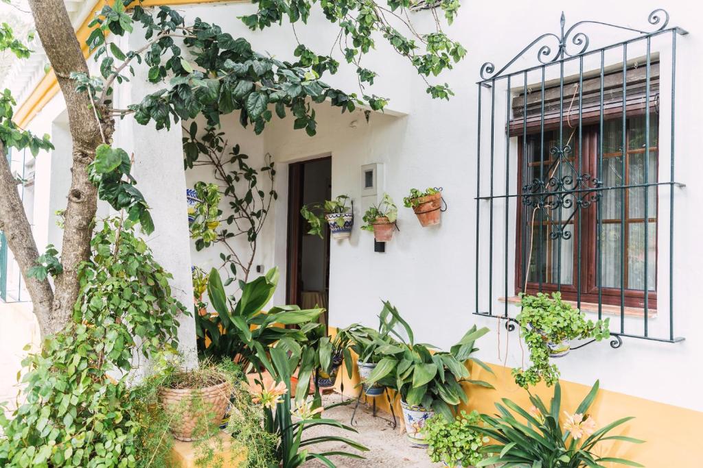 Casa El Jardín