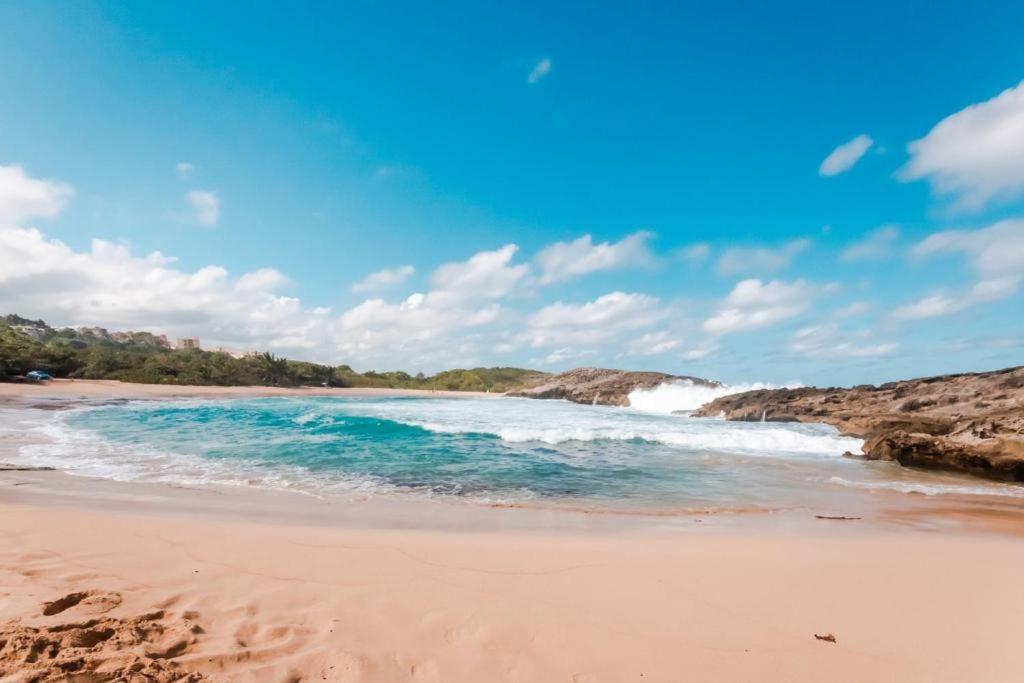 Manati Amazing Studios photo 1