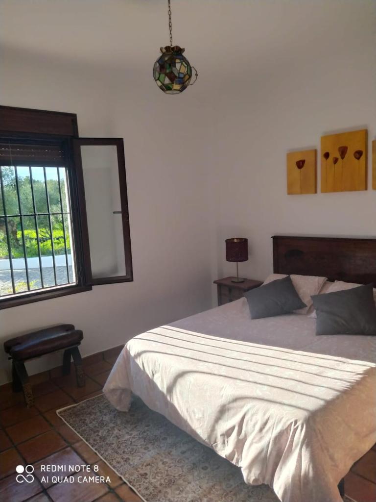 Casa Rosario photo 4