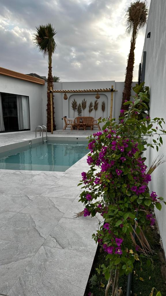 شاليه أوڤال Oval Chalet photo 3
