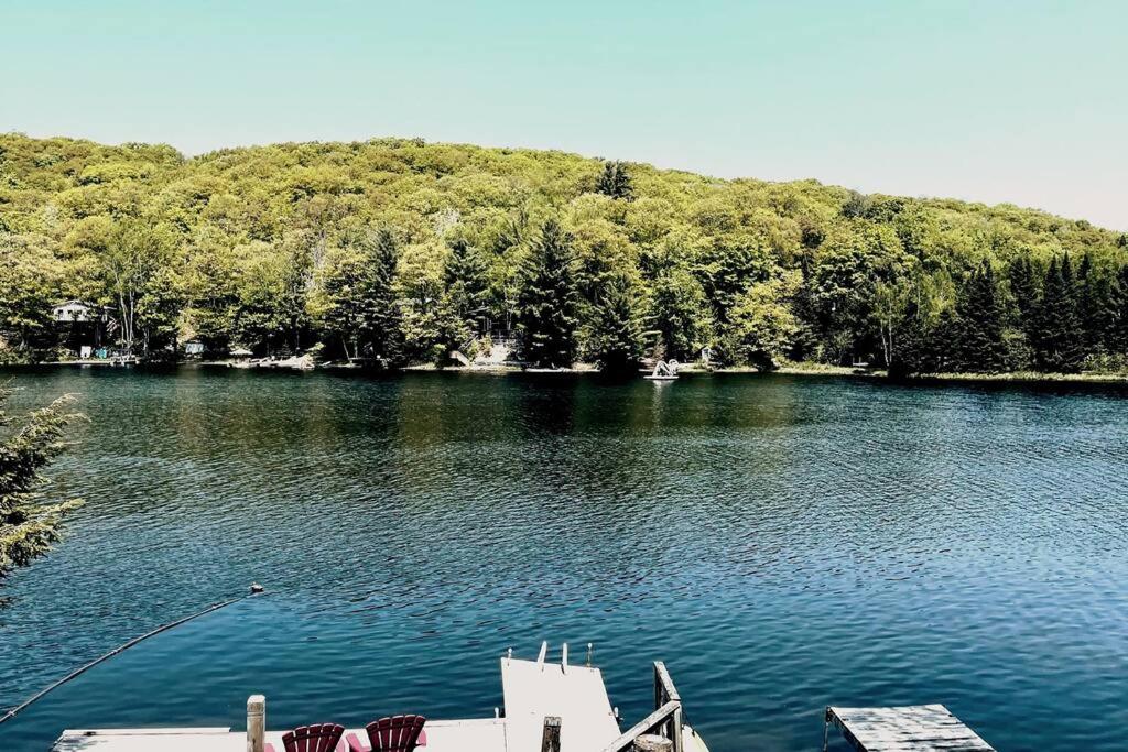 Kayaks Fishing Petfriendly -LaBellaVista Lakehouse photo 4