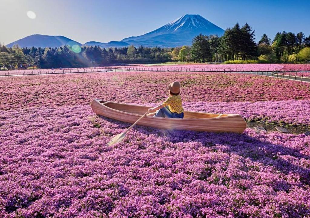 Concierge's Custom-made Unique Sightseeing Plan with Mt,Fuji views photo 4
