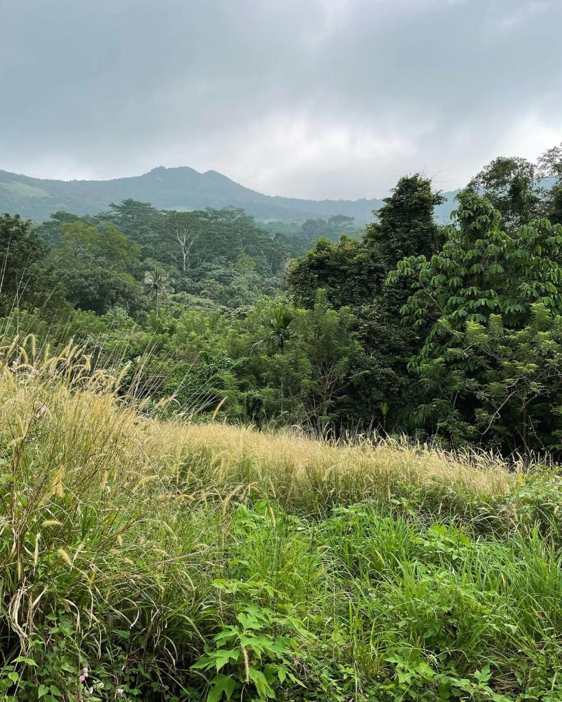 Three Creeks Matale photo 3