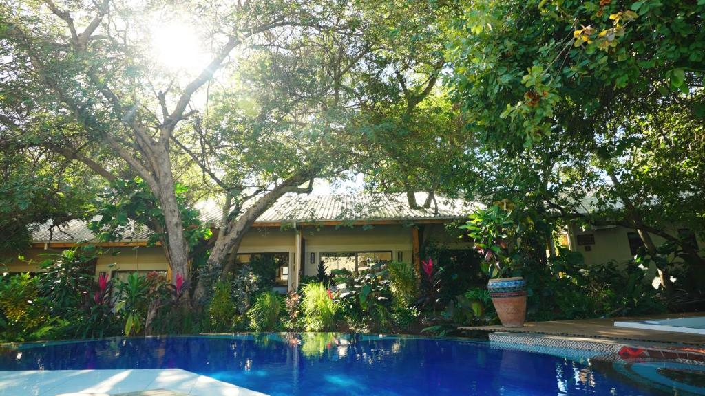 Shongwe Oasis photo 3