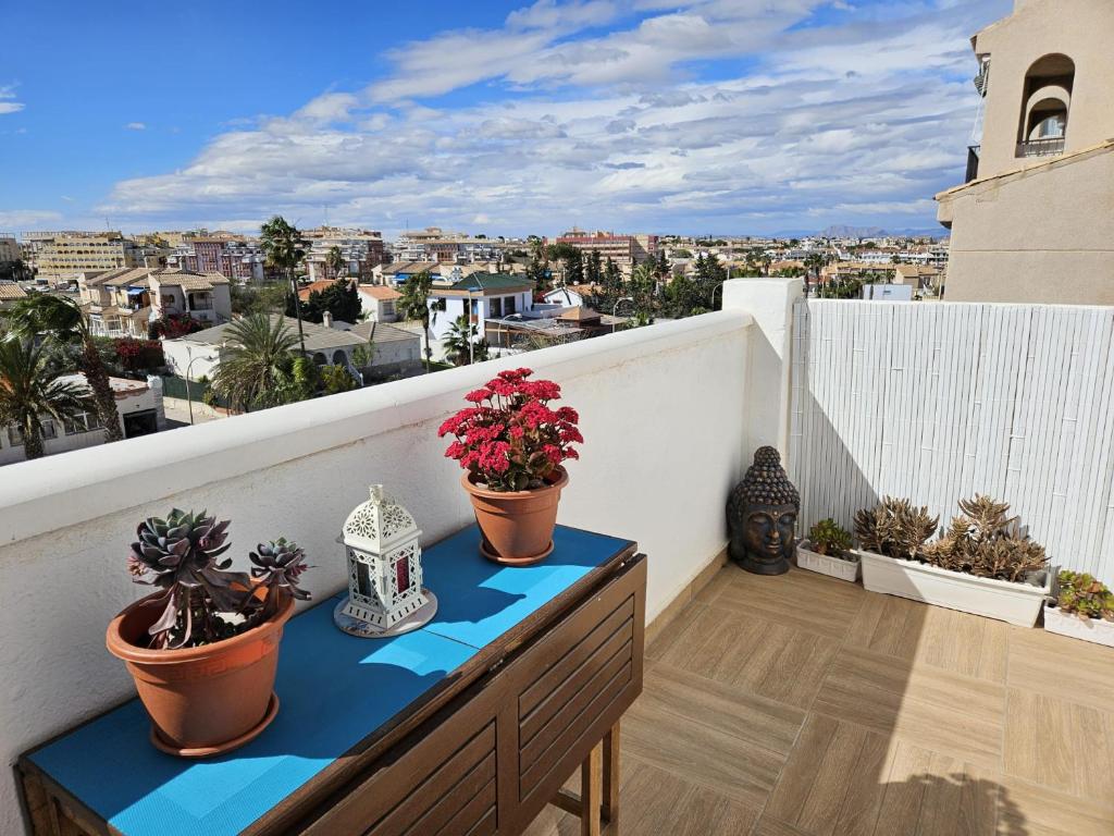 APARTAMENTO La Mata AGAPE