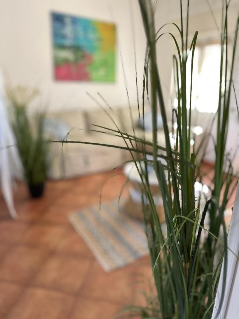 Casa Sunshine 2.0 - Vacanze al mare photo 4