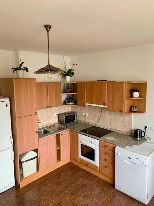 Apartmán POD LAMPOU photo 1