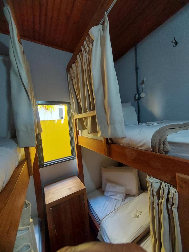 HOSTEL BADULACK photo 3
