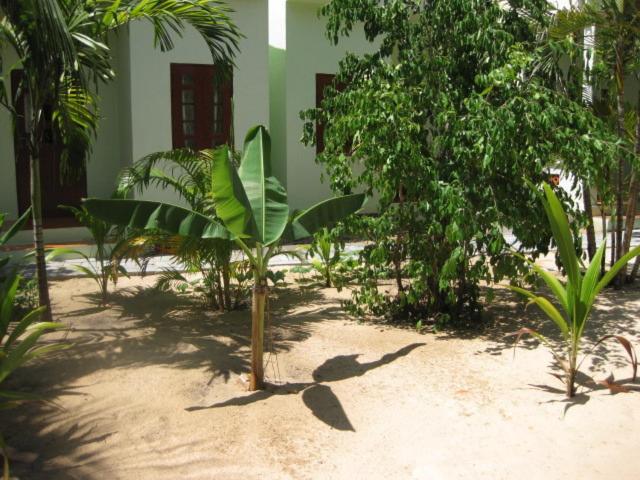 Cocosand Hotel
