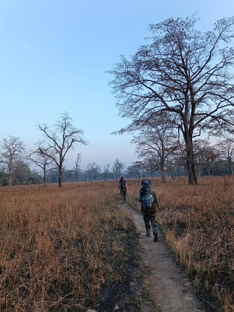 Nanu's Bardiya Homestay photo 4