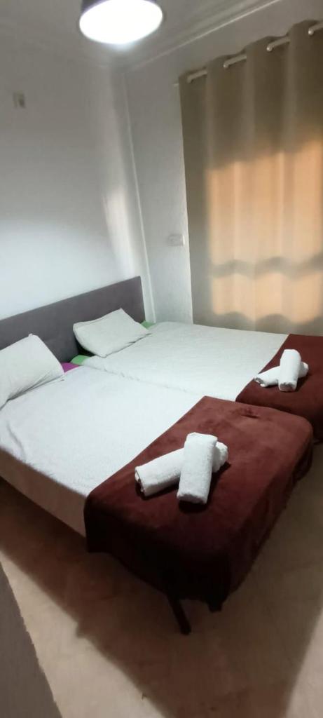 Vive Huelva ARAGON 4 HABITACIONES WIFI 300MB photo 2