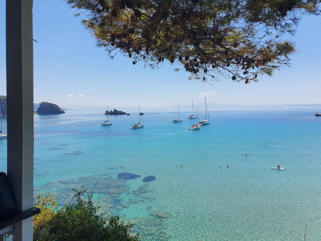 Bei Kostas photo 3