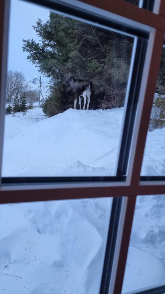 Sydalen house photo 1