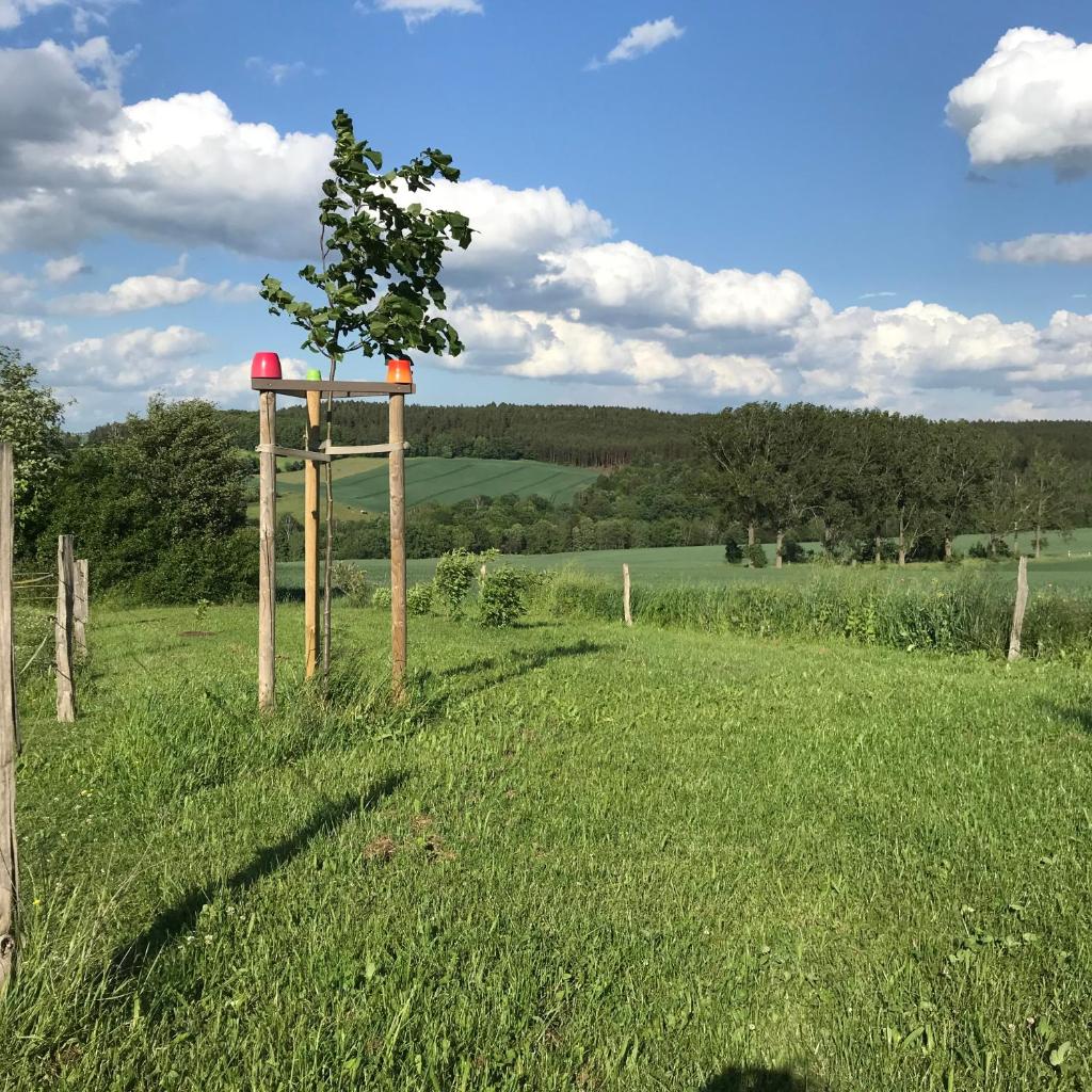 Energietanken vor den Toren Dresdens -barrierefrei- photo 2