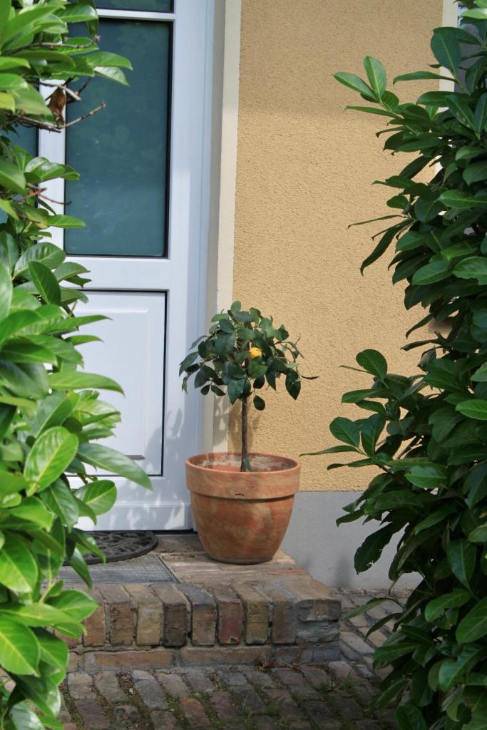 SEEBADHOF - Landhaus Kaiser photo 2