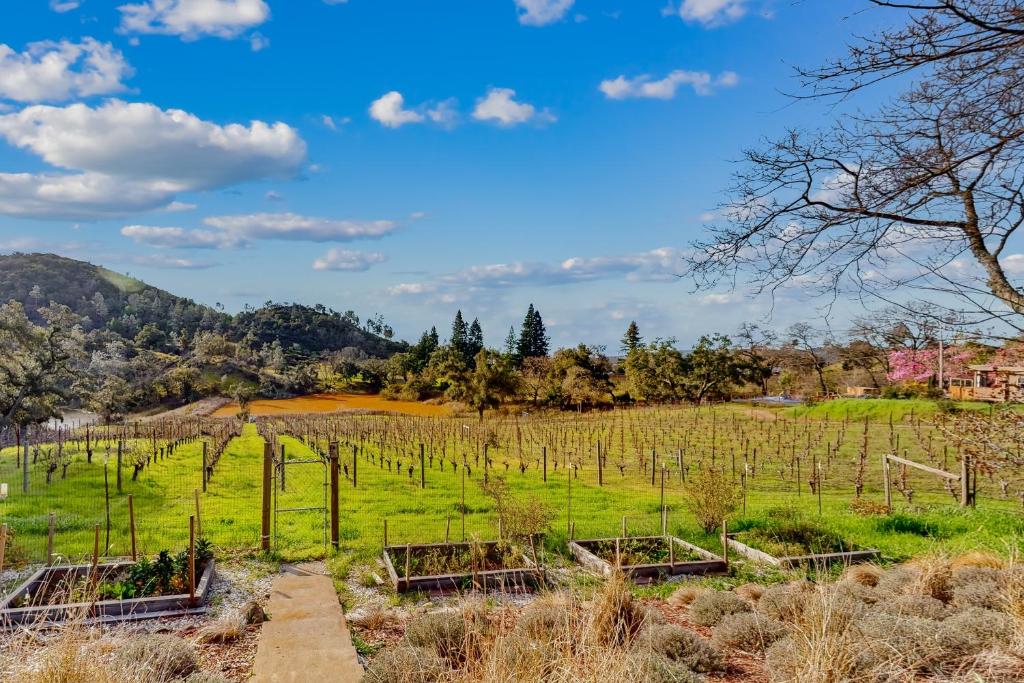 The Napa Valley Château photo 2
