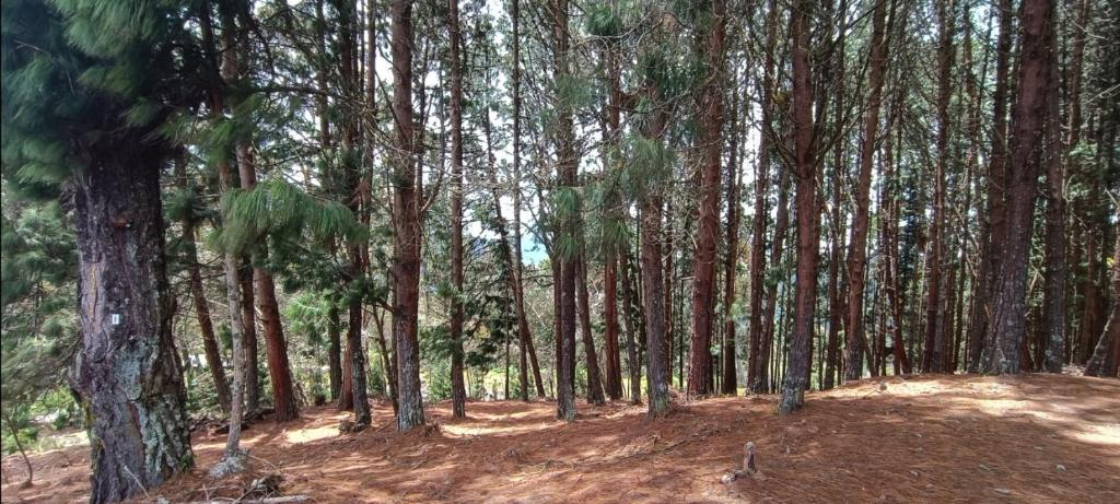 FINCA DELFOS..UN PARAISO A 15 MINUTOS DE BOGOTÁ photo 2