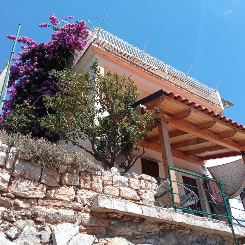 Apartments by the sea Basina, Hvar - 4620 photo 1