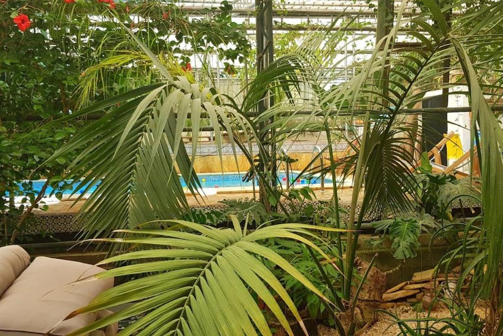 Oasis de sérénité. photo 4