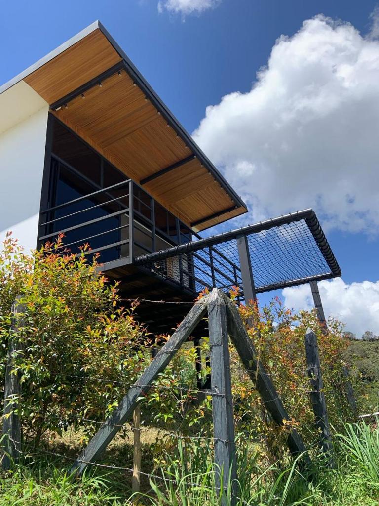 Jacaranda Glamping
