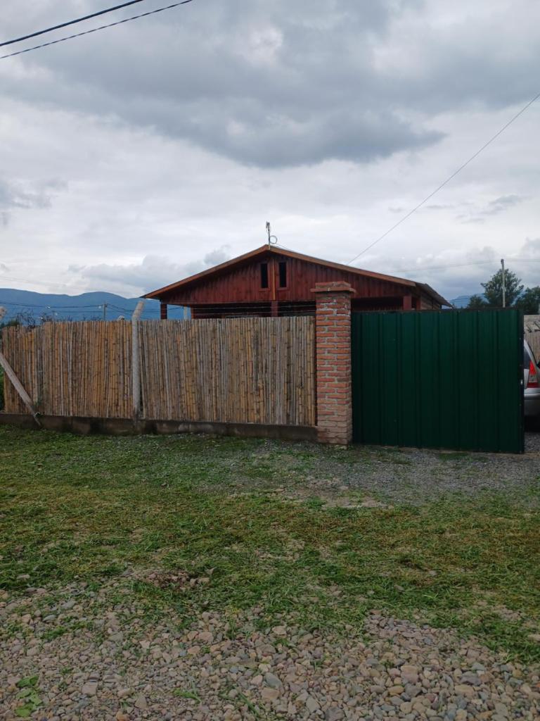 LAROSALIA photo 2