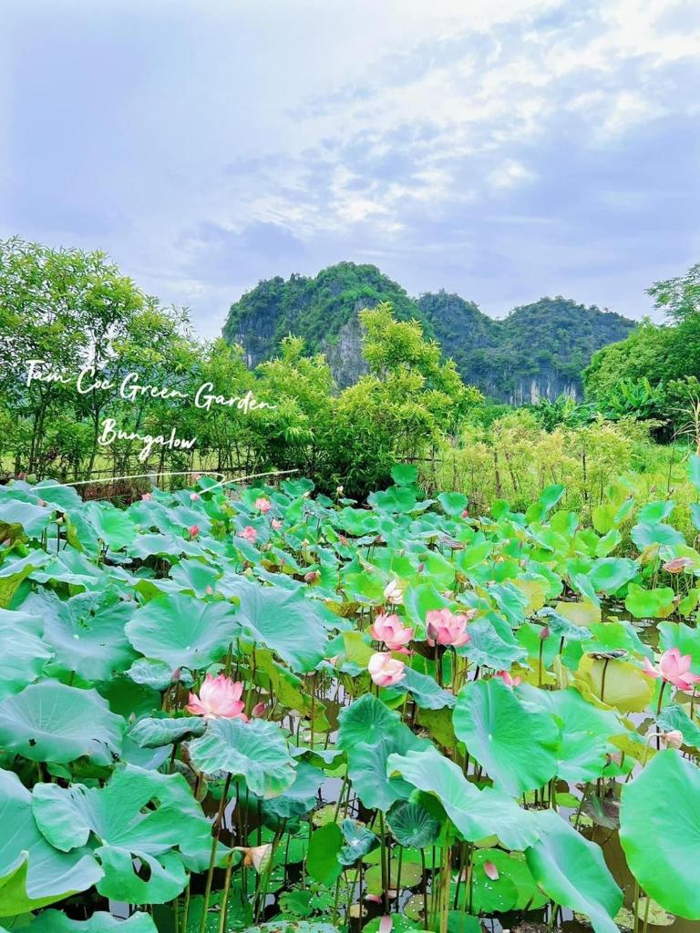 Tam Coc Green Garden Homestay