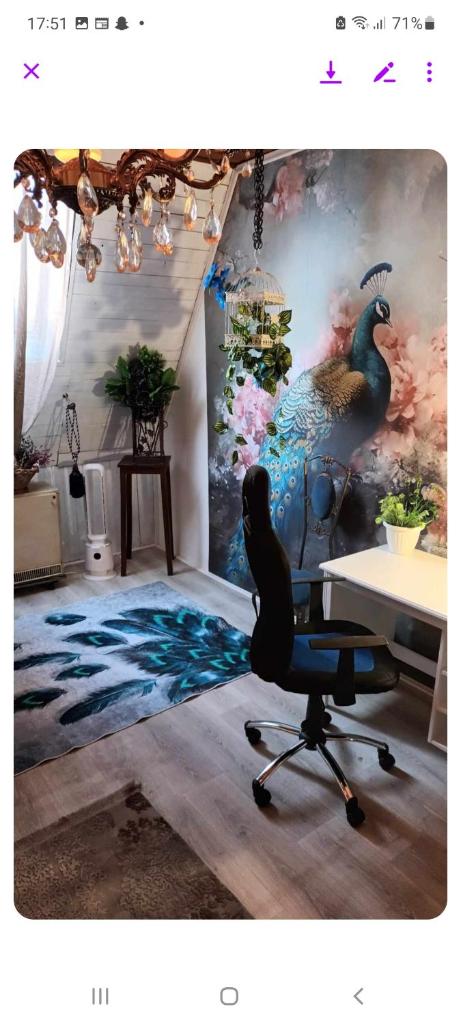 Peacock room photo 1